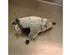 Wiper Motor HONDA INSIGHT (ZE_)