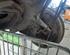 Axle OPEL CORSA D (S07)