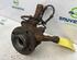 Stub Axle RENAULT KANGOO Express (FC0/1_)