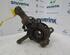 Stub Axle RENAULT Twingo II (CN0)