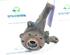 Stub Axle FIAT Scudo Kasten (220)