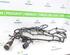 Wiring Harness TOYOTA PROACE Van (MDZ_)