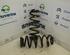 Coil Spring RENAULT Twingo III (BCM)