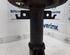 Suspension Strut RENAULT Megane III Grandtour (KZ0/1)