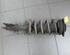 Suspension Strut RENAULT KANGOO / GRAND KANGOO (KW0/1_)