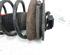 Suspension Strut PEUGEOT 607 (9D, 9U)