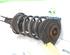 Suspension Strut RENAULT KANGOO / GRAND KANGOO (KW0/1_)