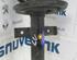 Suspension Strut RENAULT CLIO IV Grandtour (KH_)