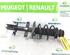 Suspension Strut RENAULT CLIO V (B7_)