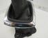 Transmission Shift Lever RENAULT MEGANE III Hatchback (BZ0/1_, B3_)