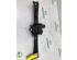 Window Lift FIAT FIORINO Box Body/MPV (225_), FIAT QUBO (225_), FIAT FIORINO MPV (225_)