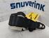 Safety Belts RENAULT Twingo II (CN0)