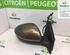 Wing (Door) Mirror RENAULT MEGANE IV Hatchback (B9A/M/N_), RENAULT MEGANE E-TECH SUV