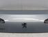 Boot (Trunk) Lid PEUGEOT 607 (9D, 9U)