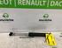 Gasveer kofferruimte RENAULT Captur I (H5, J5), RENAULT Clio IV (BH)