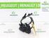 Bonnet Release Cable RENAULT CLIO V (B7_)