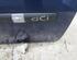 Door RENAULT Clio III (BR0/1, CR0/1)