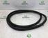 Door Seal OPEL CORSA F (P2JO)