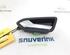 Door Handle RENAULT Clio V (BF), RENAULT Clio V (B7)