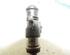 Injector Nozzle RENAULT Clio III (BR0/1, CR0/1)