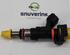 Injector Nozzle RENAULT Captur I (H5, J5), RENAULT Clio IV (BH)