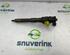 Injector Nozzle RENAULT KANGOO Express (FW0/1_)