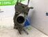 Water Pump PEUGEOT 206 Hatchback (2A/C), PEUGEOT 206 Saloon