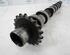 Camshaft PEUGEOT 307 (3A/C)