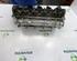 Cylinder Head RENAULT CLIO III (BR0/1, CR0/1), RENAULT CLIO IV (BH_)