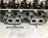 Cylinder Head PEUGEOT 206 Hatchback (2A/C), PEUGEOT 206 Saloon