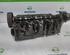 Cylinder Head RENAULT MEGANE III Grandtour (KZ0/1)