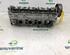 Cylinder Head RENAULT CLIO IV Grandtour (KH_)