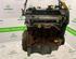 Motor kaal RENAULT Clio III (BR0/1, CR0/1)