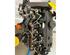 Motor kaal RENAULT Clio III (BR0/1, CR0/1)