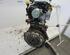 Motor kaal RENAULT CLIO III (BR0/1, CR0/1)