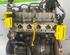 Motor kaal RENAULT CLIO III Grandtour (KR0/1_)