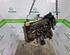 Motor kaal RENAULT CLIO III (BR0/1, CR0/1)