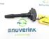 Ignition Coil RENAULT Twingo III (BCM)