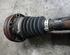 Drive Shaft AUDI A6 Allroad (4FH, C6)