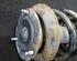 Suspension Strut BMW 3 Compact (E36)