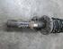 Suspension Strut AUDI A2 (8Z0)