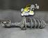 Suspension Strut HYUNDAI TUCSON (JM)