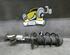 Suspension Strut FIAT GRANDE PUNTO (199_)