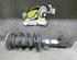 Suspension Strut OPEL Signum (--)