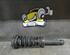 Suspension Strut JAGUAR S-Type (X200)