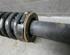 Suspension Strut JAGUAR S-Type (X200)