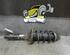 Suspension Strut VW GOLF IV Variant (1J5)