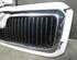 Radiator Grille SKODA OCTAVIA I Combi (1U5)