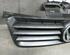 Radiator Grille VW POLO (9N_)