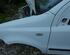 Spatbord FIAT PANDA (169_)